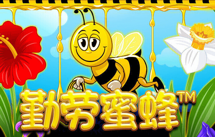 华体育会app官网版下载